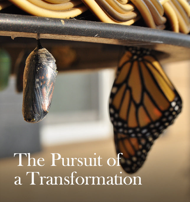 Hacked: Self-Love as a Synonym of Transformation