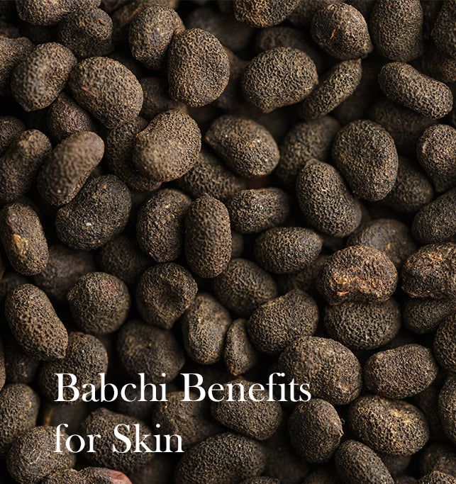 Babchi: A Wonder Ingredient for Your Skin
