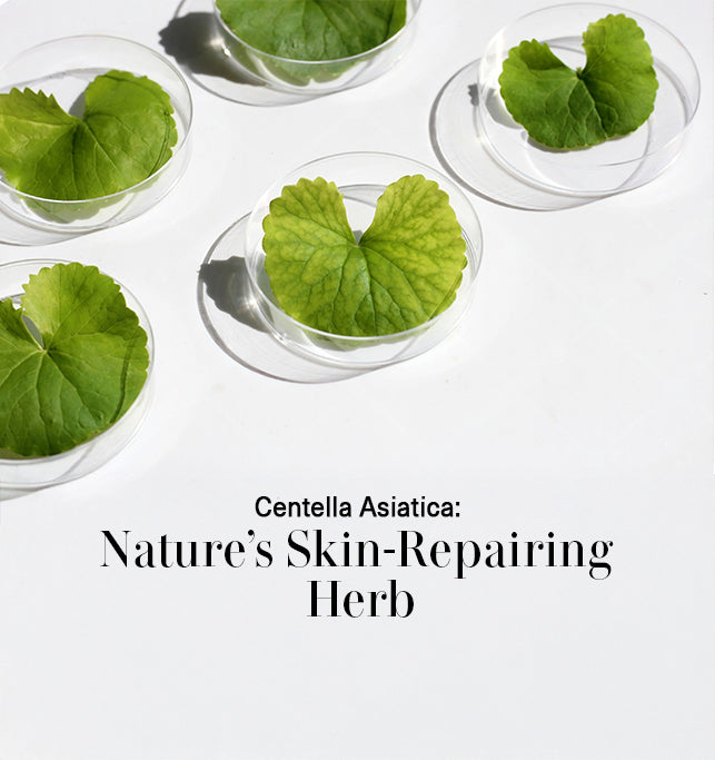 centella asiatica for skin​