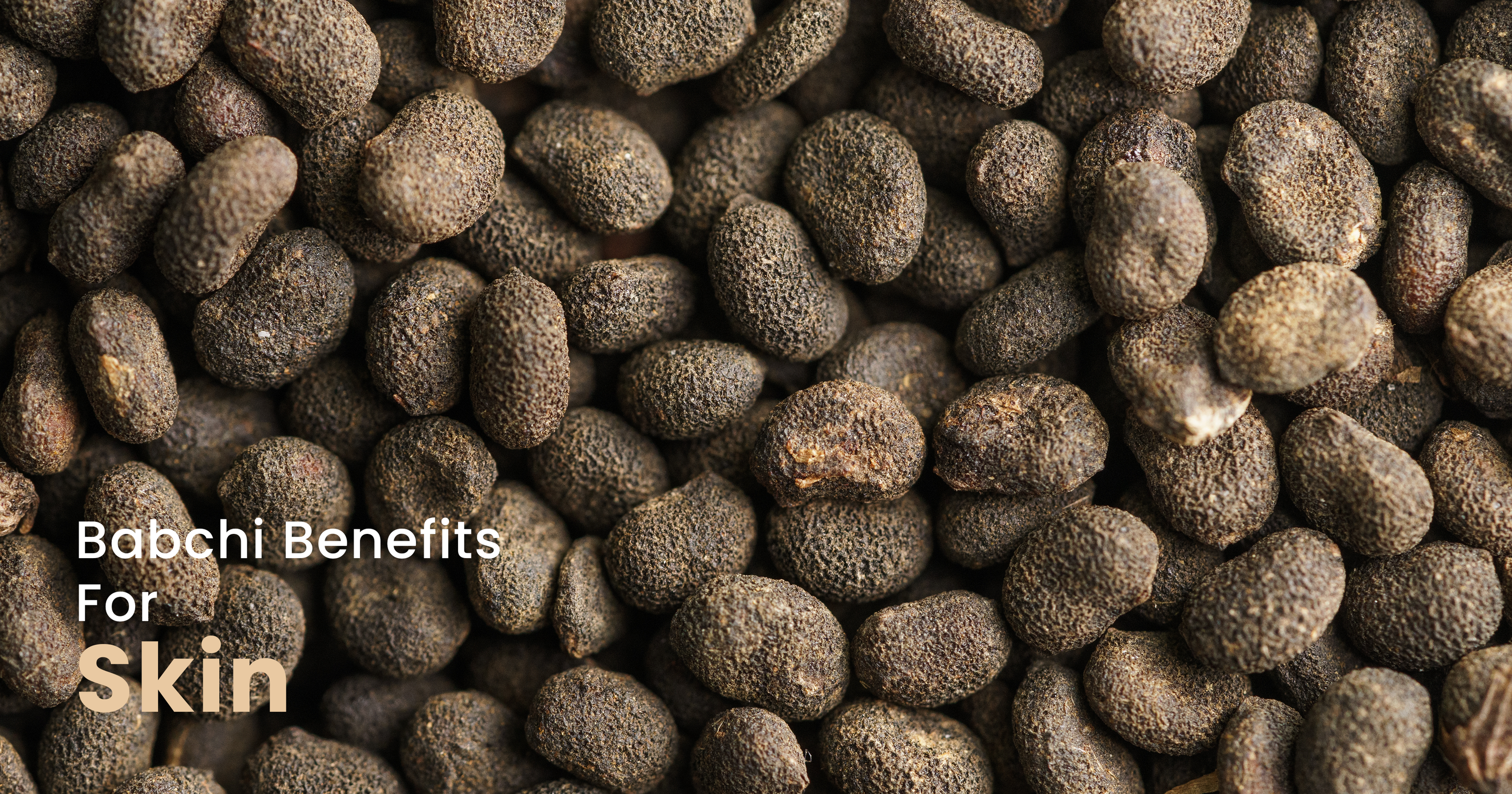 Babchi benefits for skin