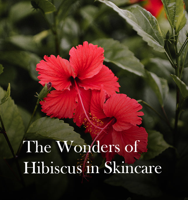 Top 7 Benefits Of Hibiscus For Skin And Its Uses