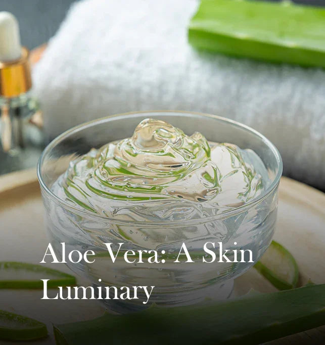Aloe Vera for face & Skin- Top 10 benefits & uses