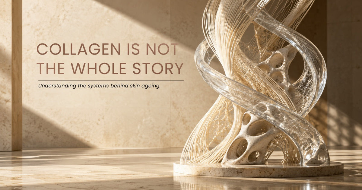 Editorial illustration showing hydration and collagen as two distinct systems supporting skin fullness and structure.