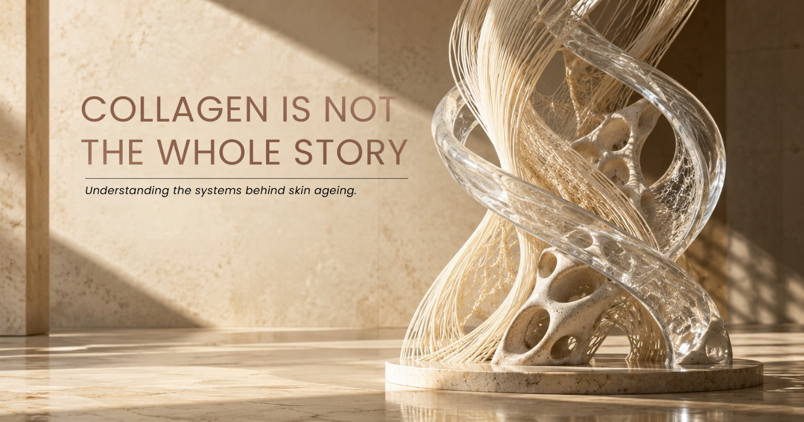 Editorial illustration showing hydration and collagen as two distinct systems supporting skin fullness and structure.