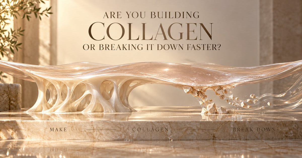 Collagen production and breakdown in ageing skin, showing how skincare can support skin firmness, hydration and collagen protection.