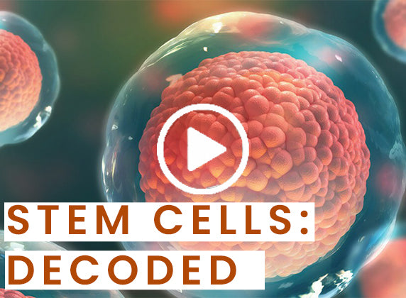 Stem Cells Researcher, Dr. John Wang decodes what are stem cells and what they do for your body!