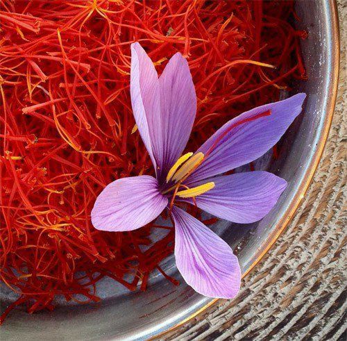 Pure Saffron Oil
